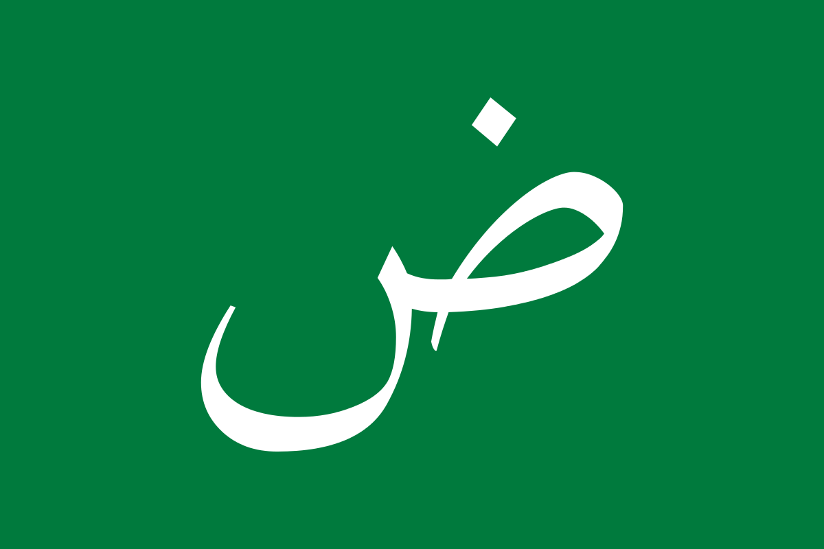 Arabic language flag