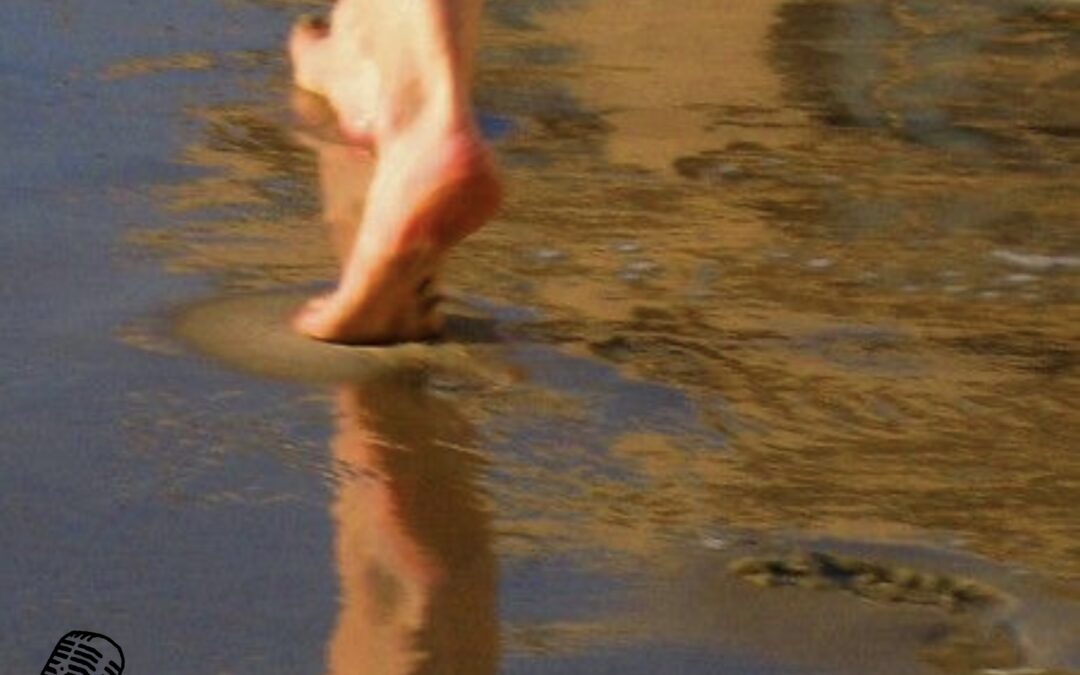 A walk in summer memories