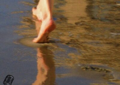 A walk in summer memories
