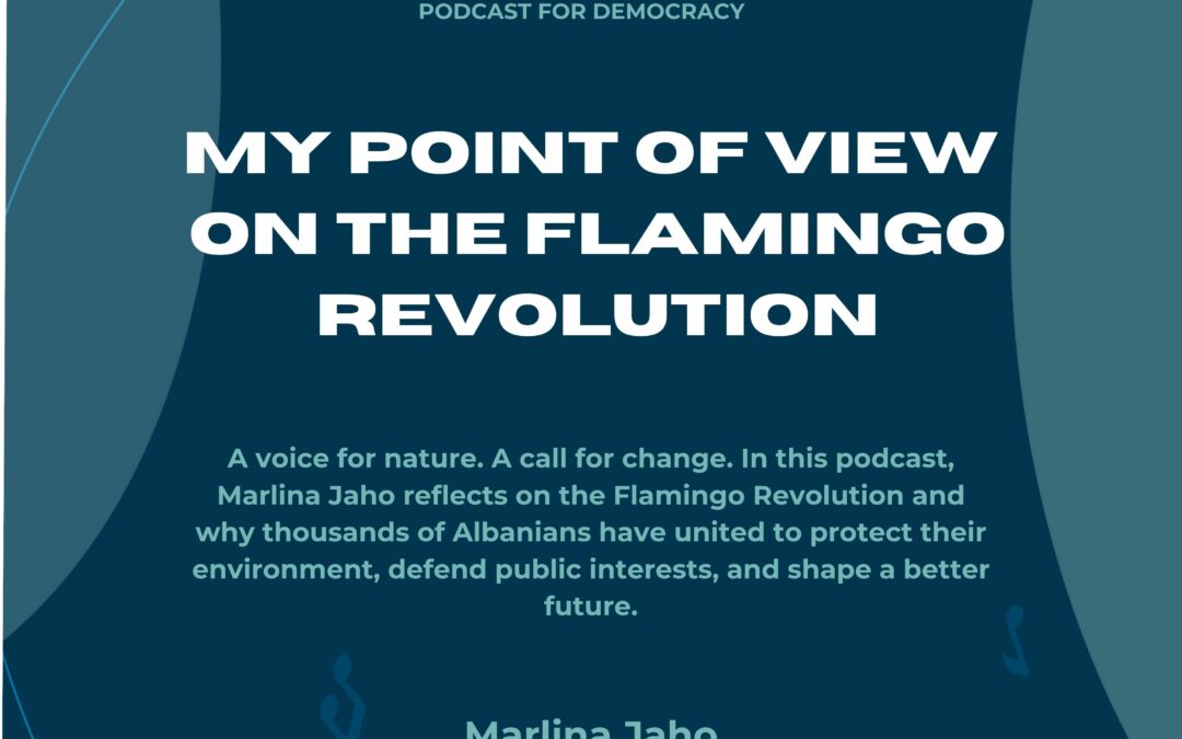 My Point of View on the Flamingo Revolution