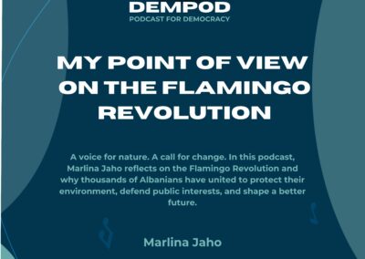 My Point of View on the Flamingo Revolution